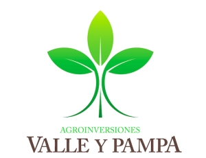 logo-valle y pampa