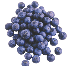 Blueberries_249