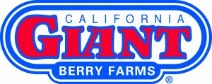 CaliforniaGiantBerry_Logo_PMS