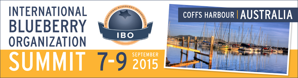 IBO Summit 2015