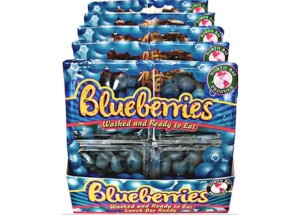 North_Bay_blueberries_large_II