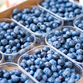 blueberry-punnets-small