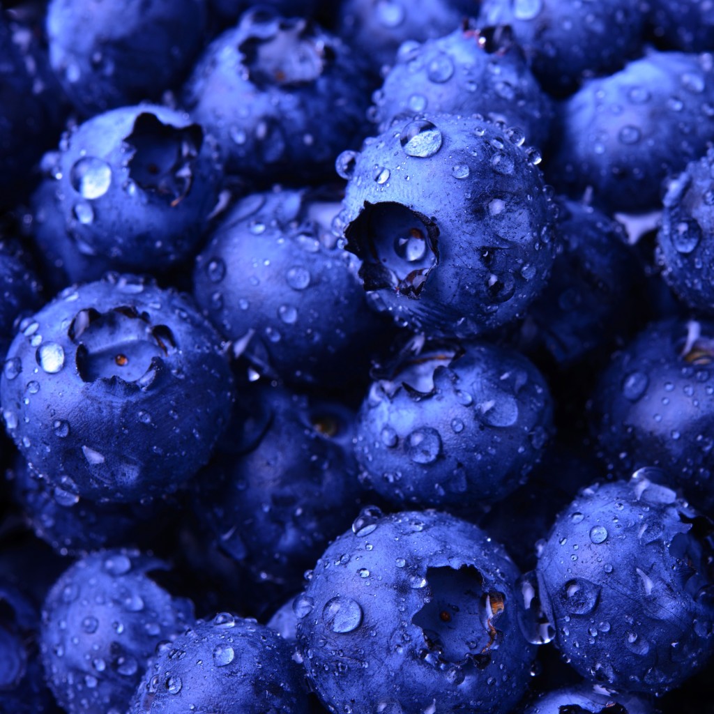 Background Full of Fresh Ripe Sweet Blueberries Covered -shutterstock_302390867