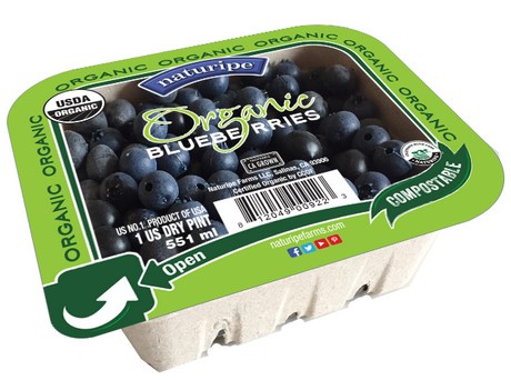 Naturipe_organic_blueberry_package_large