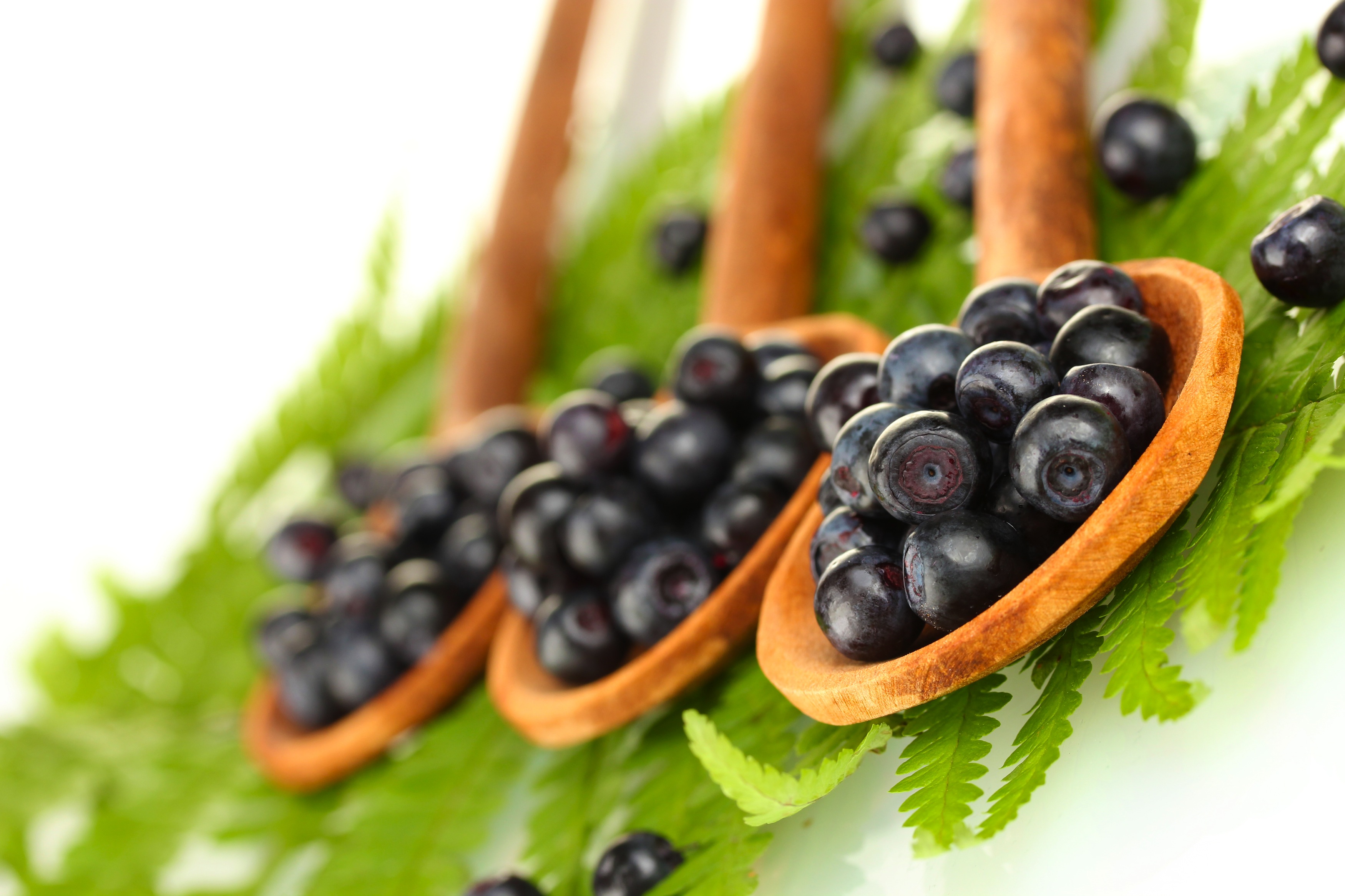 Tasty blueberries in wooden spoons on fern close-up-shutterstock_115553890