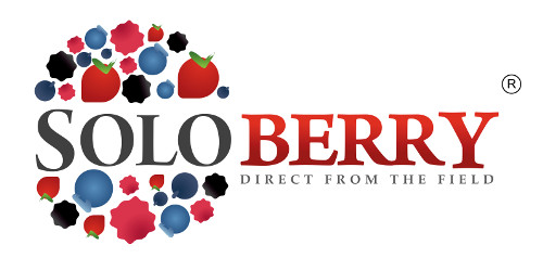 Soloberry Limited