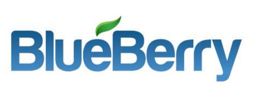 Blueberry LLC