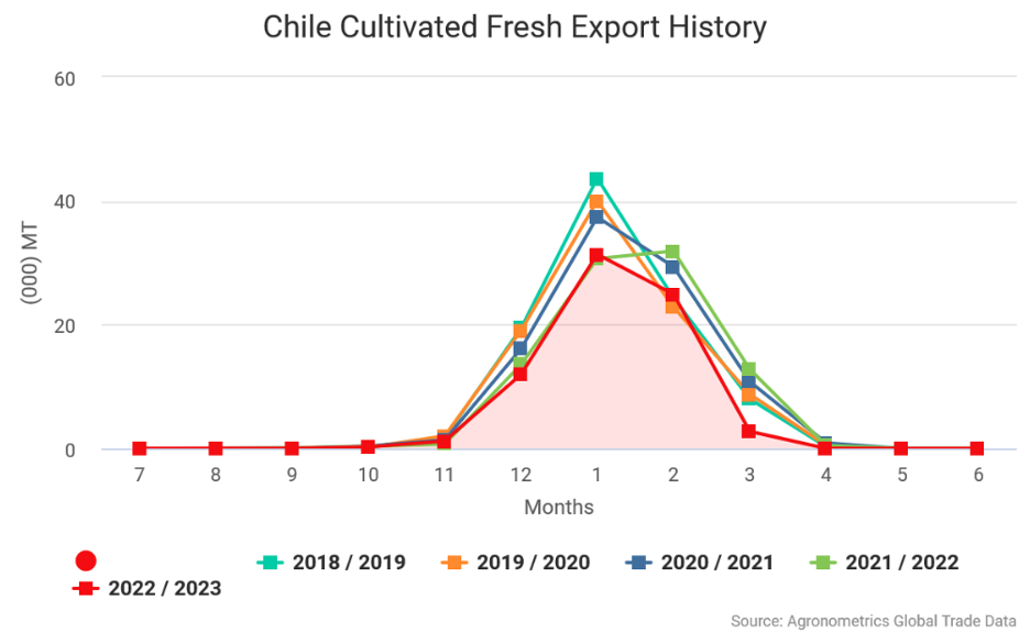 Chilean blueberry industry