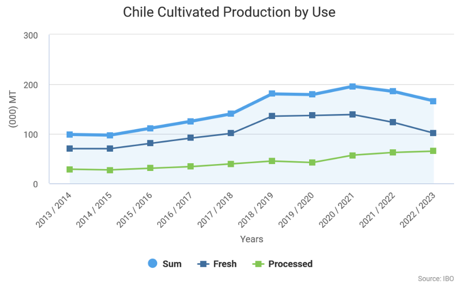 Chilean blueberry industry