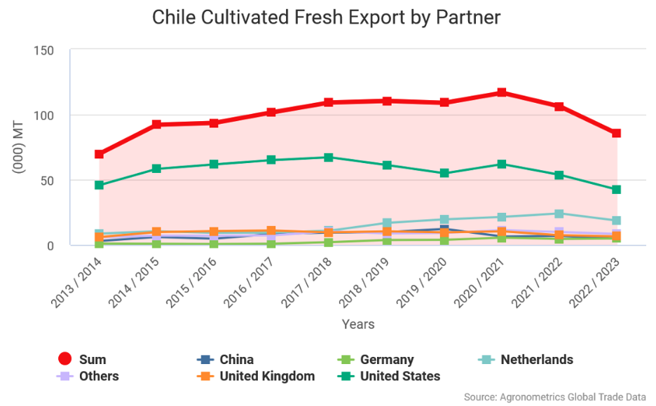 Chilean blueberry industry