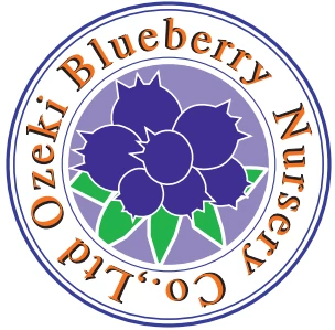 Ozeki Blueberry Nursery