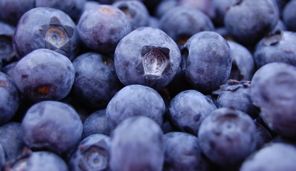 Blueberries Superfoods Blueberry International Organization