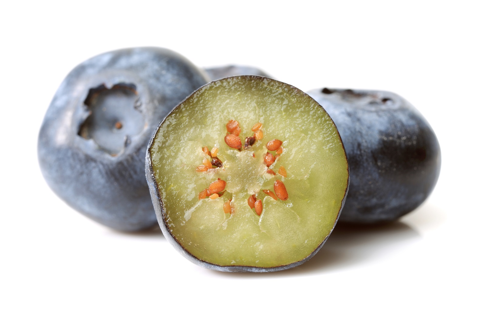 Argentina First Tucumán blueberries of the season touch down in Miami