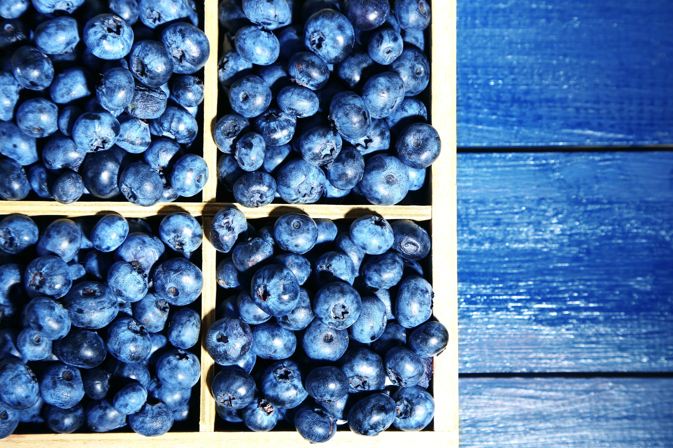 SanLucar makes its first shipment of blueberries from Spain to Middle