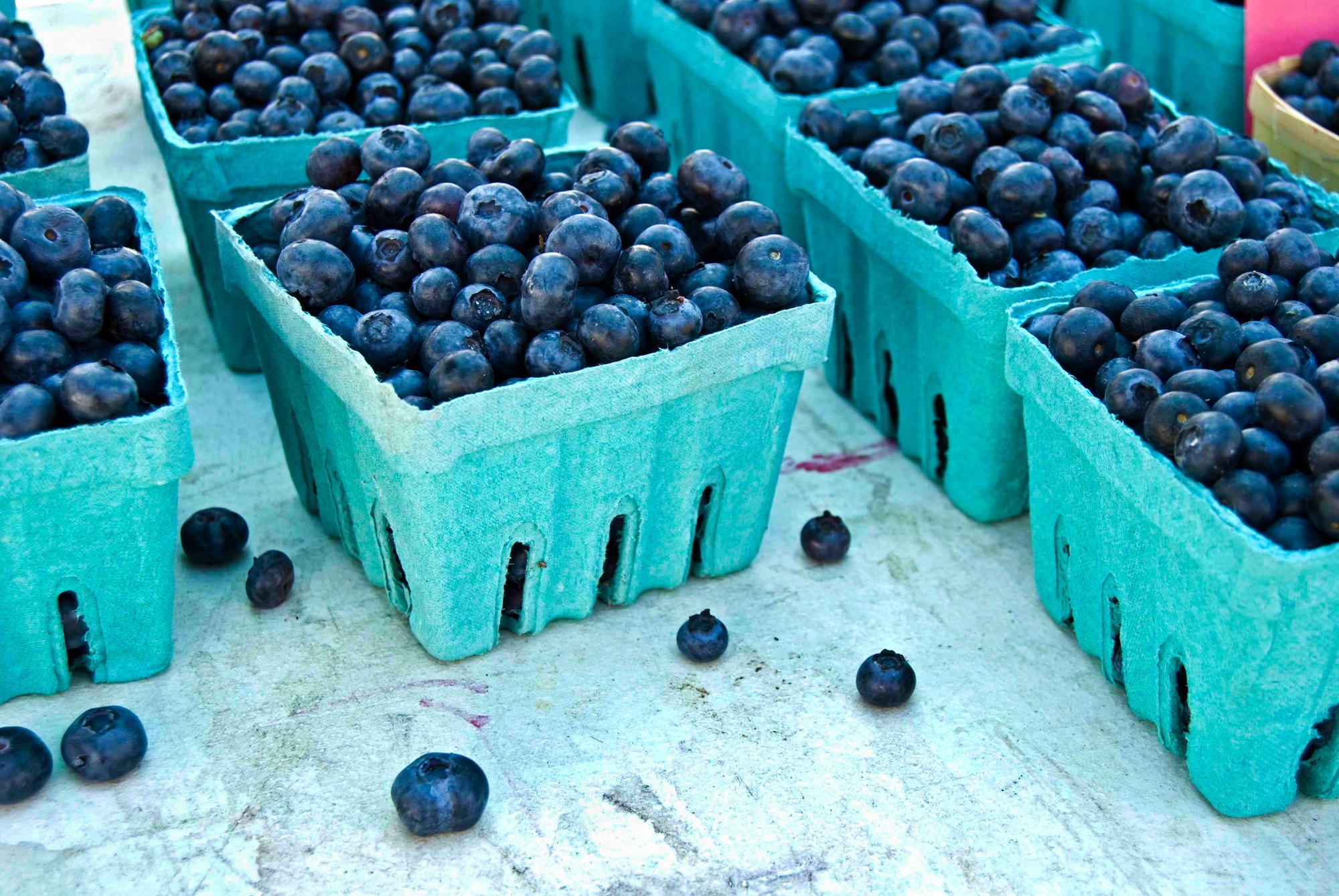 Peru blueberries led agroexports growth in 2016 Blueberry