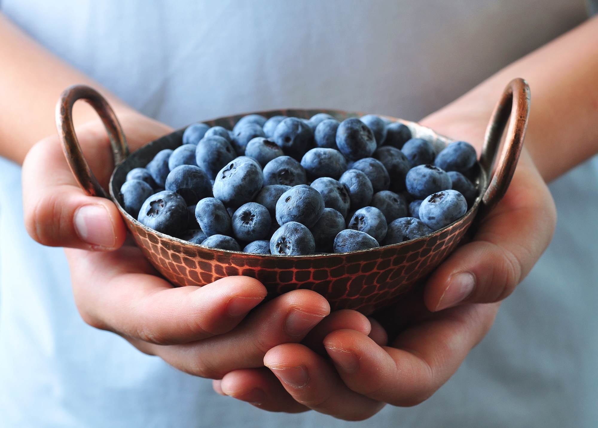 An overview of global blueberry production in 2016 Blueberry