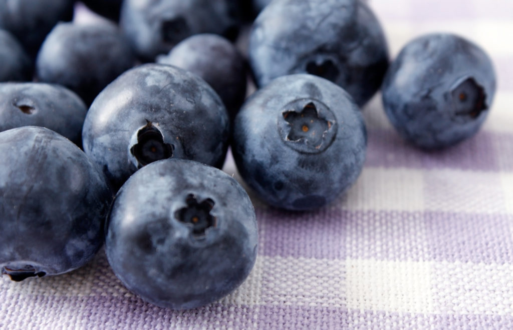 Agronometrics in Charts The role of Mexican blueberries in the U.S