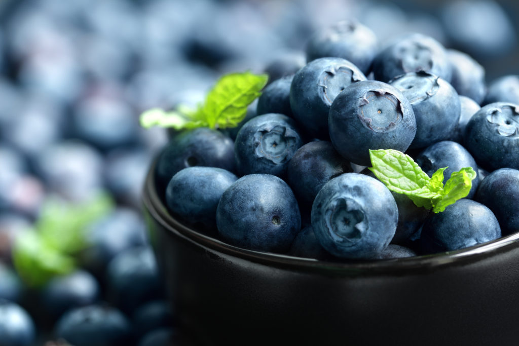 Mexican blueberry exports to rise during 201920 season Blueberry
