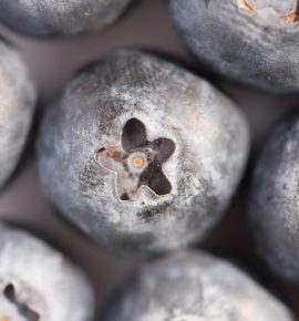 Blueberry