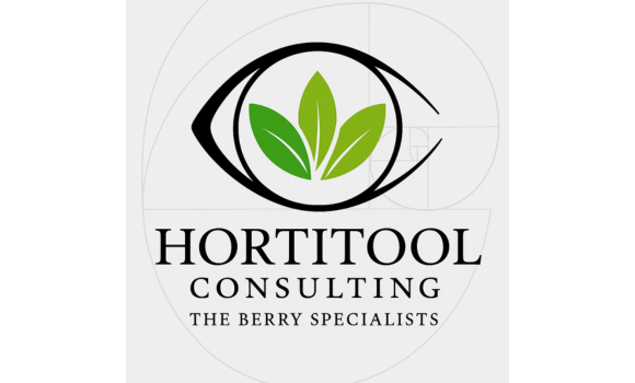 BLOOMFRESH TIRA FOOTER (21)